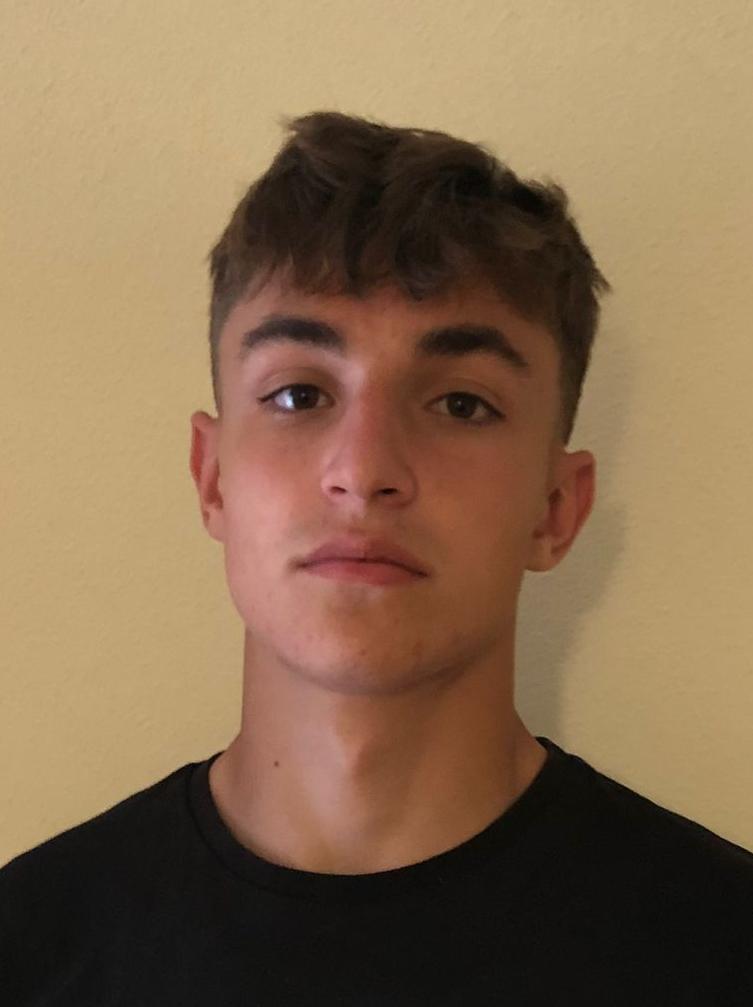 MARTINEZ HERNANDEZ Dario